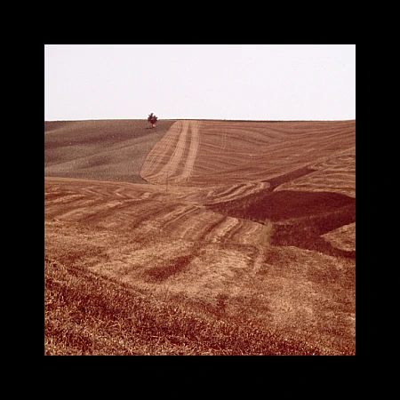 Doro Breger: Was wir sind. Verbotene Landschaften (2006)